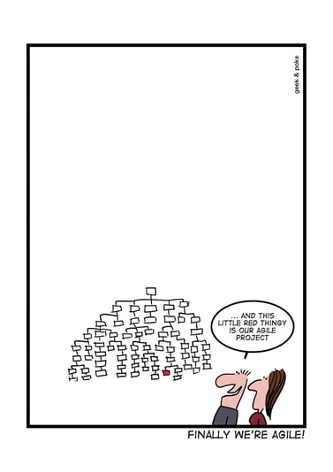 Finally We are Agile