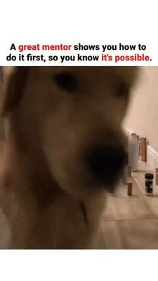 1686033880872
