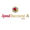 speed-baccarat-a