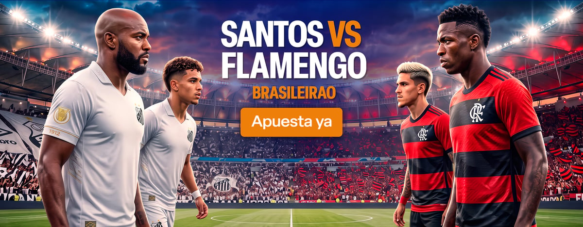 CO :: BRASILEIRAO :: SANTOS VS FLAMENGO