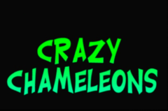 crazy-chameleons-psbo