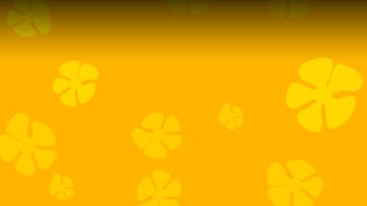 Double Joker Poker HD