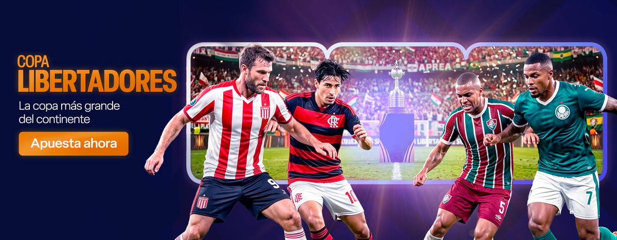 COL :: COPA LIBERTADORES :: GENERIC BANNER