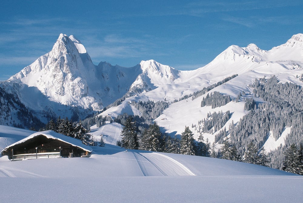 Luxury ski area Gstaad & Elite escorts Switzerland