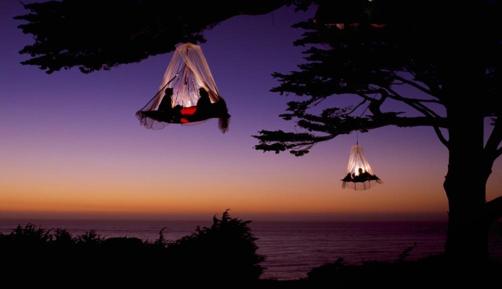 Tree camping with VIP escort