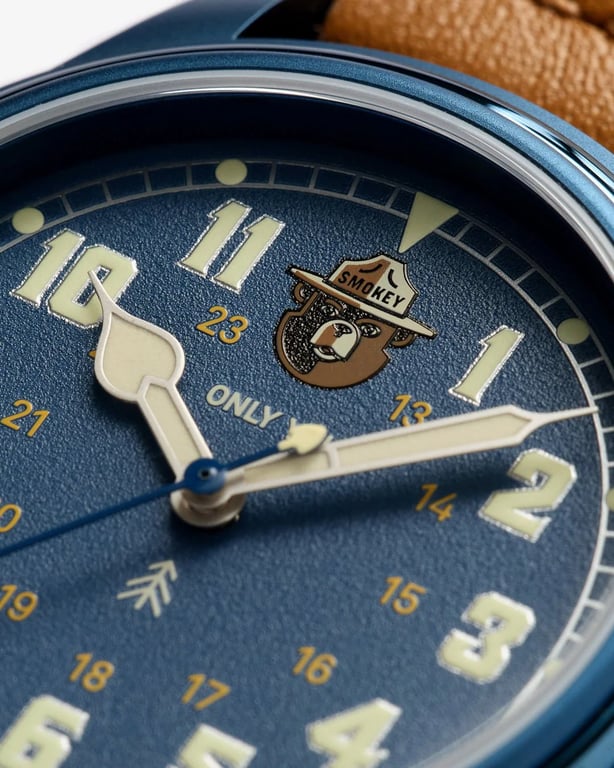 VERO Smokey Bear Blue Skies Edition dial
