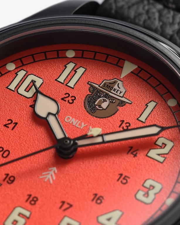 VERO x Shwood Smokey Bear Morning Sky dial
