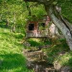 Location Creation Kirby Farm Garden