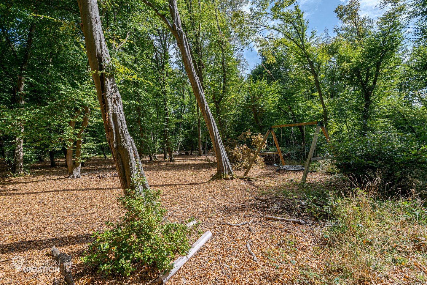 Location CreationEssex BarnWoodland Park