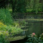 Location CreationBerkshire ManorLake