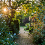 Location Creation Borde Hill White Garden