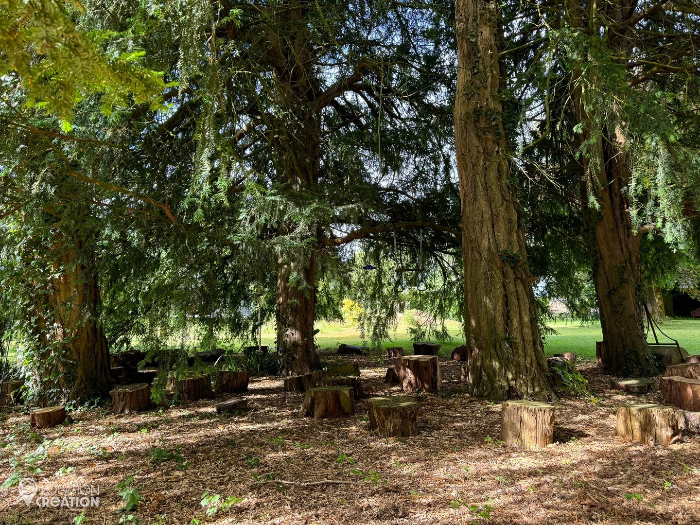 Location Creation The Coach House Woodland