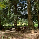 Location Creation The Coach House Woodland