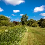 LocationCreationThe Grange Hampshiregarden