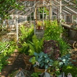 Location Creation Borde Hill Fig House