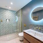 Location Creation Wakehurst Basement Bathroom
