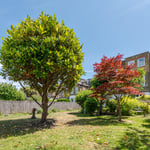 Location CreationBrook Hotelgarden