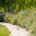 The Walled Gardengarden Path