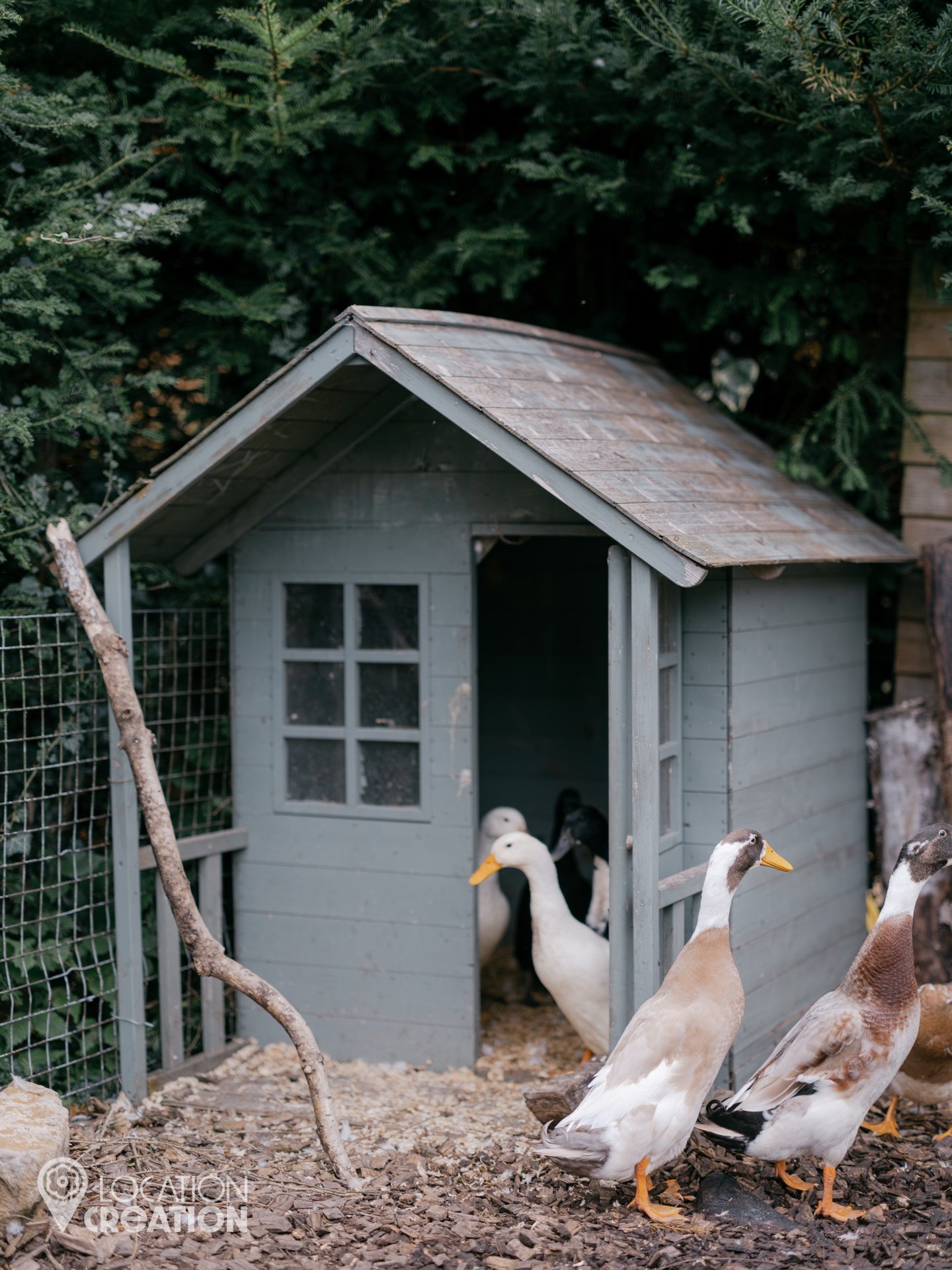 Location CreationKeythorpe HallDucks