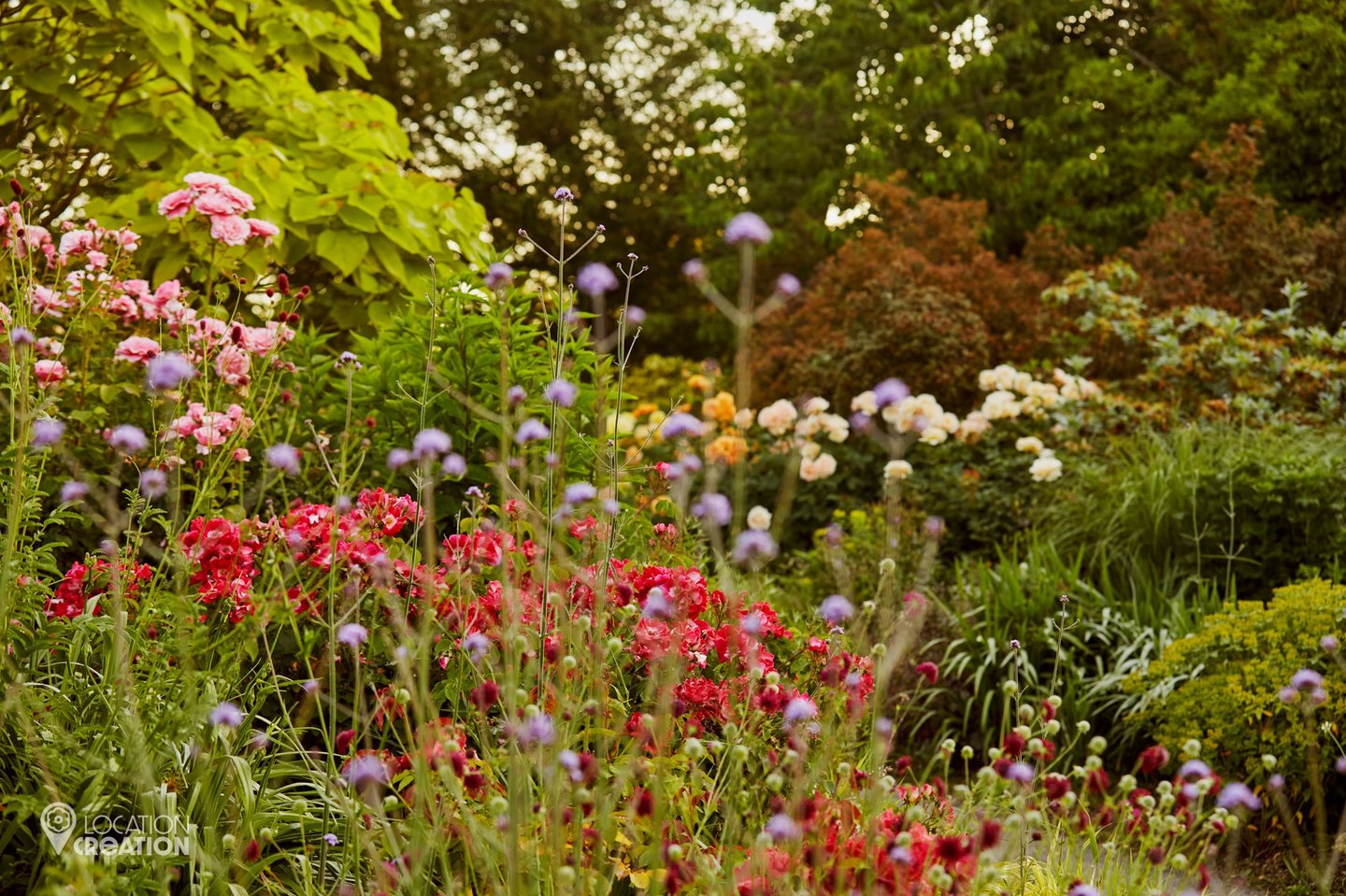 Location Creation Borde Hill Mid Summer Border