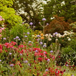 Location Creation Borde Hill Mid Summer Border