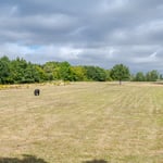Location CreationEssex BarnPadedock