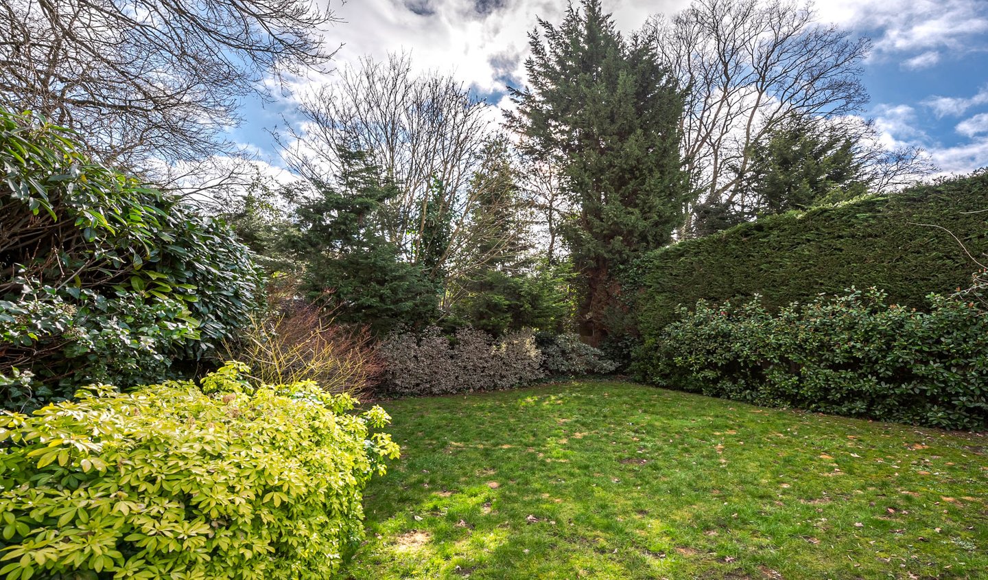 Location Creation Chandos Garden