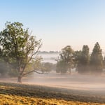 Location Creation Borde Hill North Park