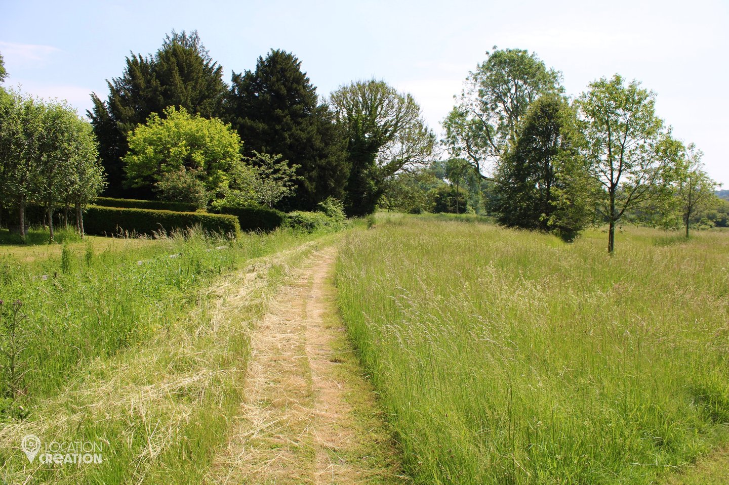 WM Meadow And Fields