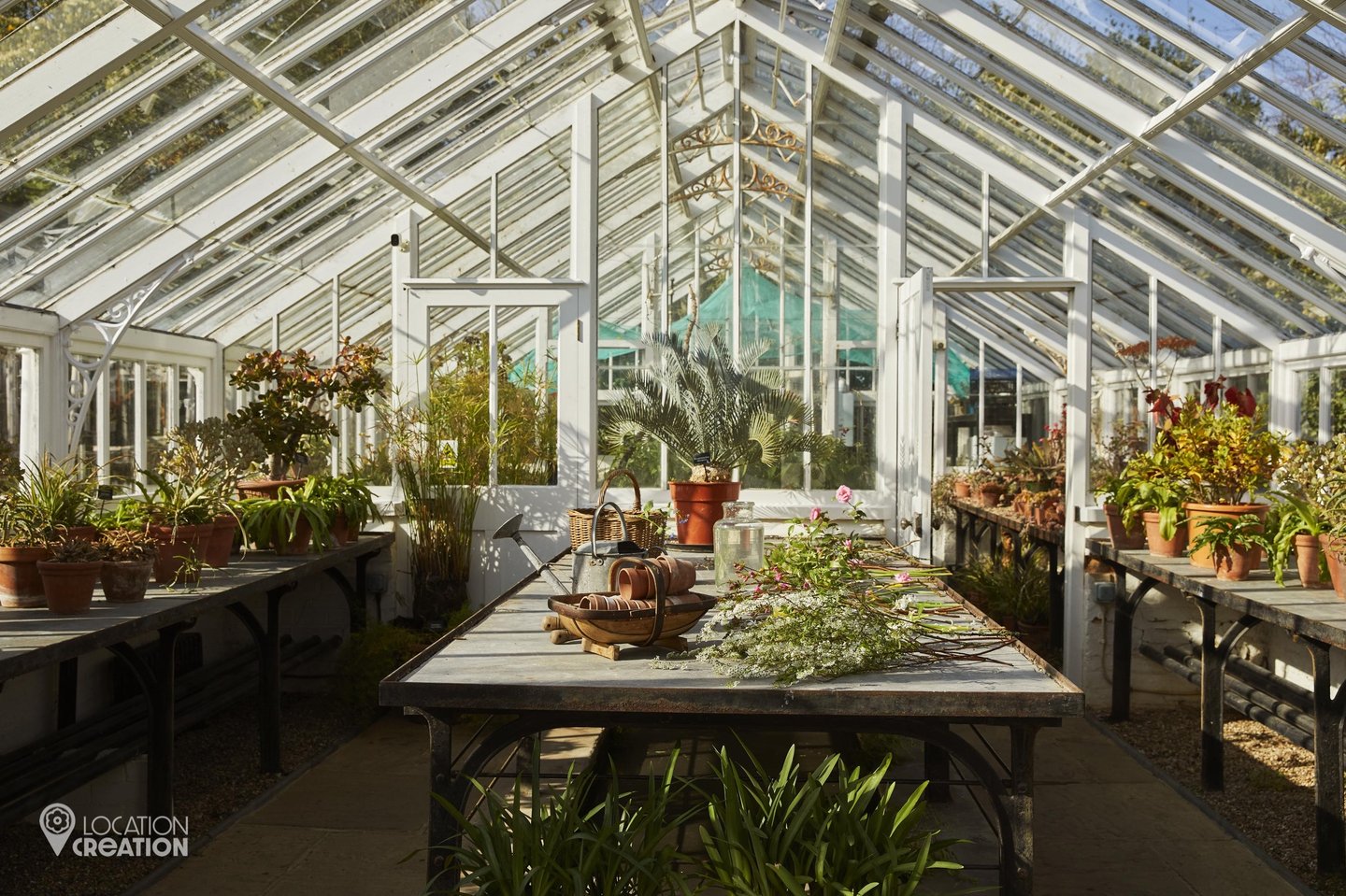 Location Creation Borde Hill Glasshouse