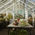 Location Creation Borde Hill Glasshouse