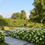 Location CreationVannCroftgarden