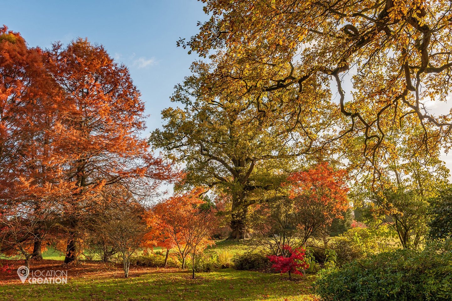 Location Creation Borde Hill South Lawn
