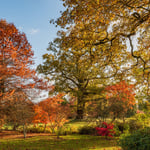 Location Creation Borde Hill South Lawn