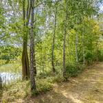 Location CreationEssex Barnwoodland And Lake Walk