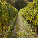 LocationCreationThe Grange Hampshiregarden