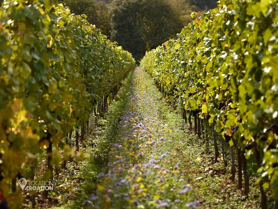 LocationCreationThe Grange Hampshiregarden