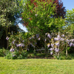 Location CreationRiverside HouseGarden