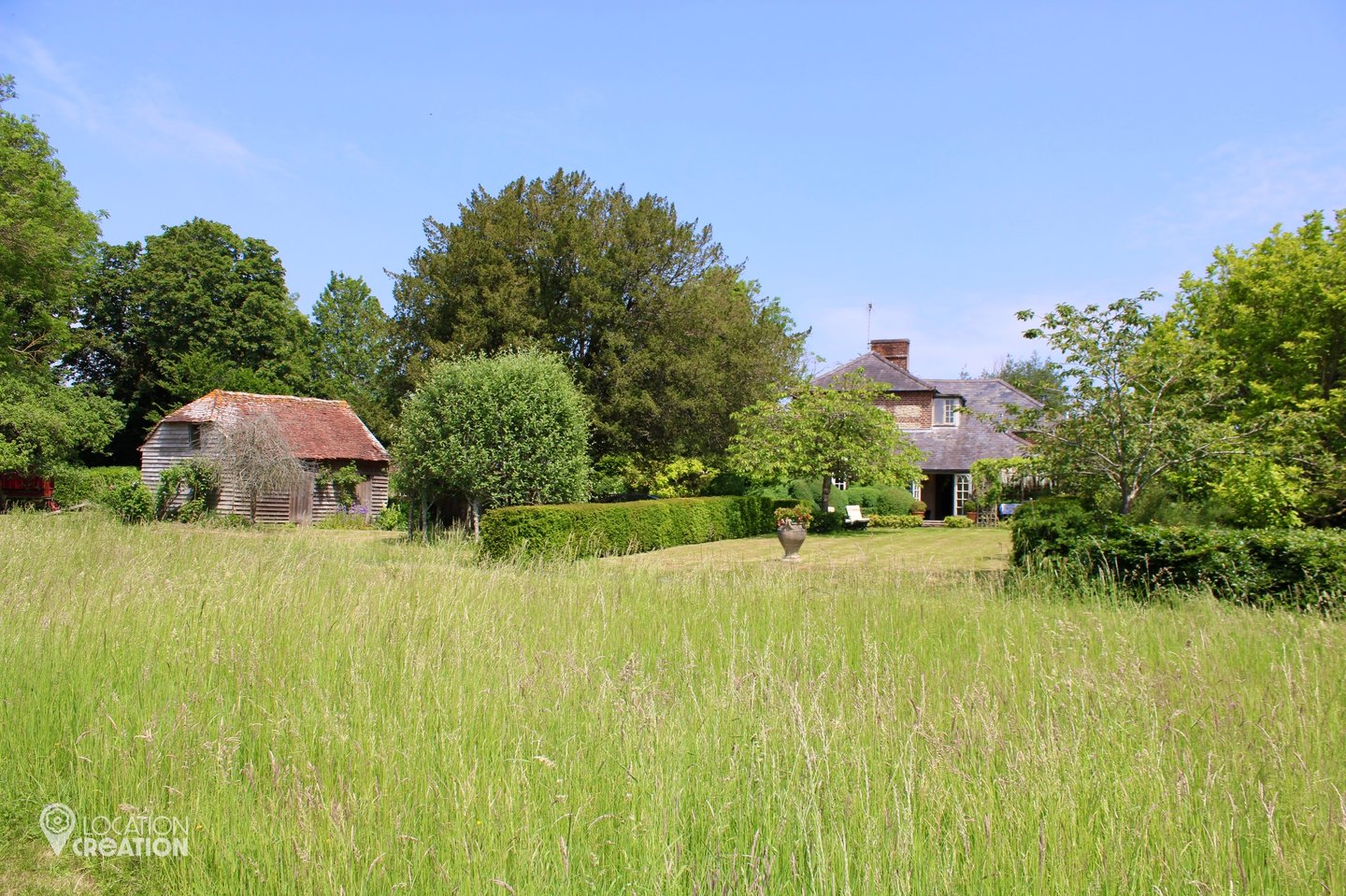 WM Meadow And Fields