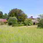 WM Meadow And Fields
