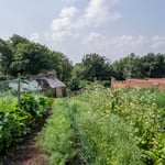 Location CreationKeythorpe Hallgarden