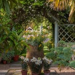 Location Creation Borde Hill Mediterranean Garden