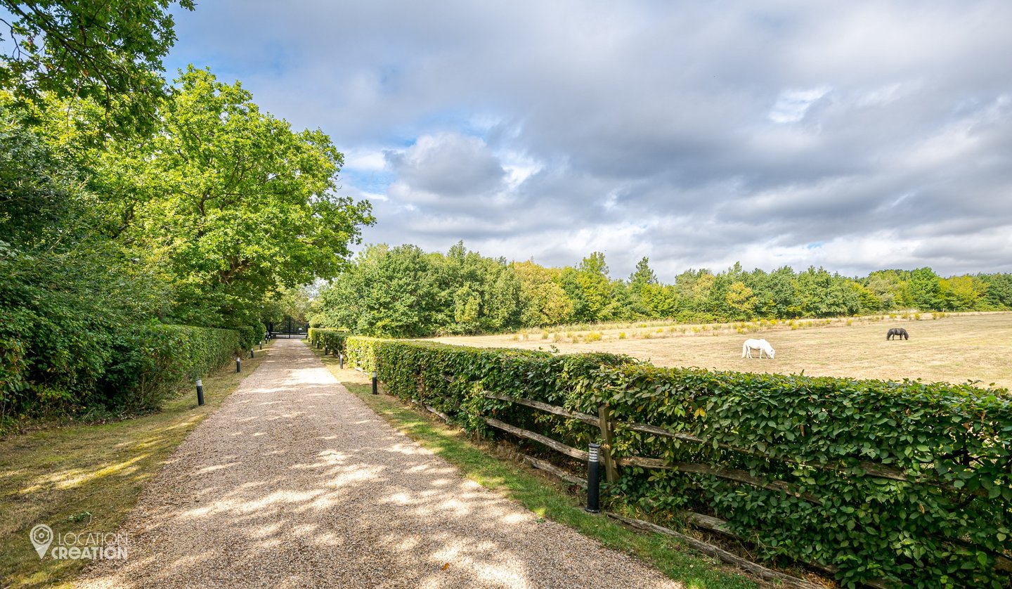 Location CreationEssex BarnPonies