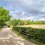 Location CreationEssex BarnPonies