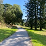 Location CreationGarthewin HallDriveway