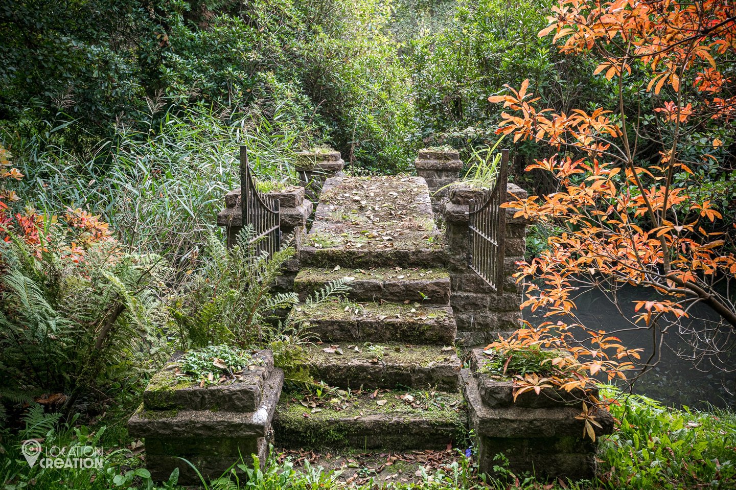Location CreationLake HouseLake Steps