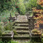 Location CreationLake HouseLake Steps