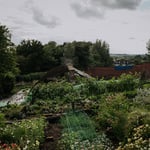 Location CreationKeythorpe HallGarden