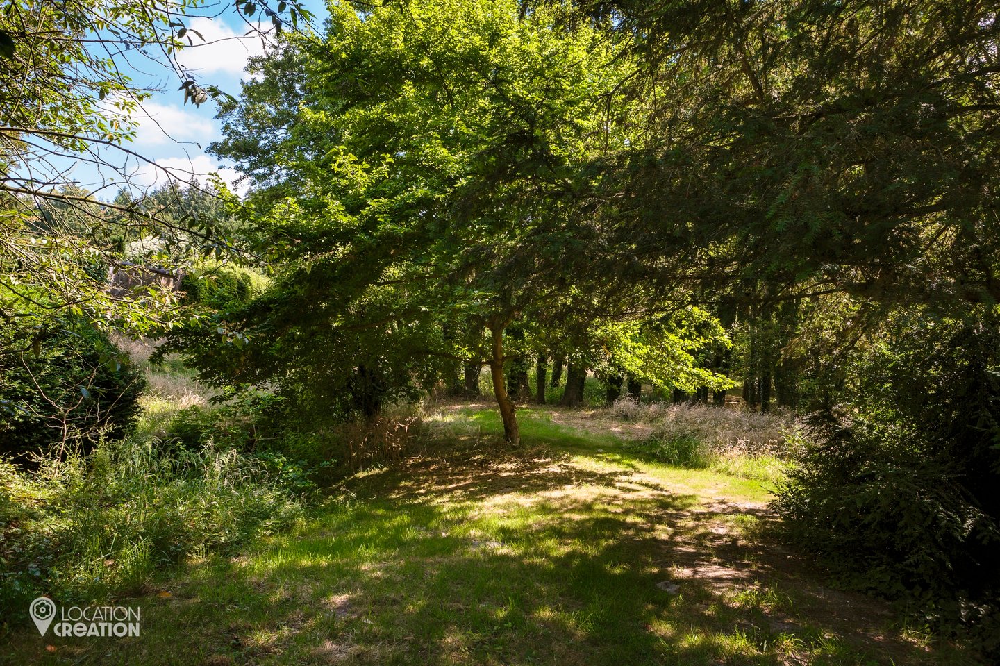 LocationCreationThe Grange Hampshiregarden