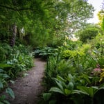 Location Creation Borde Hill Round Dell